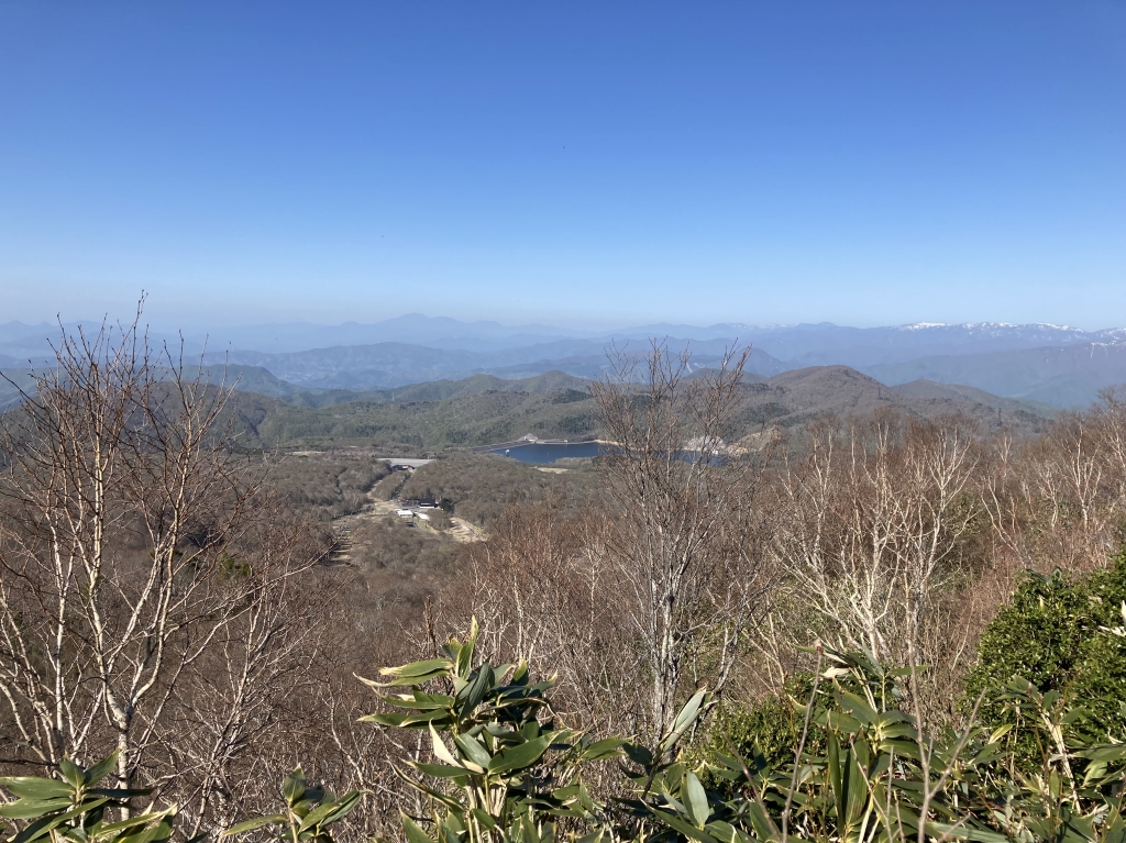 関東屈指のブナの森「鹿俣山」