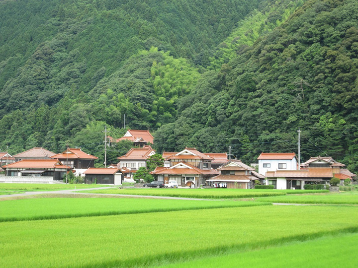 屋根材あれこれ