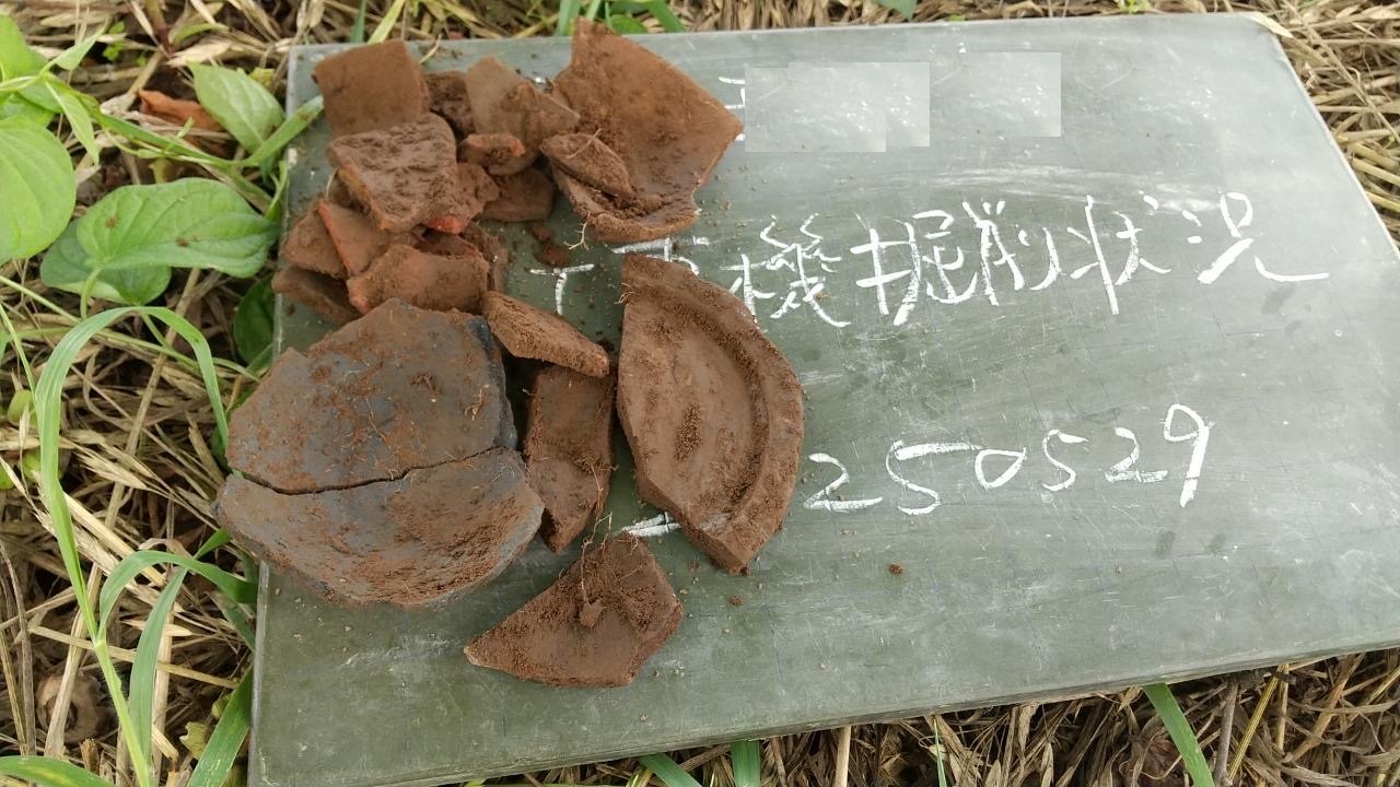 ドキどき・・