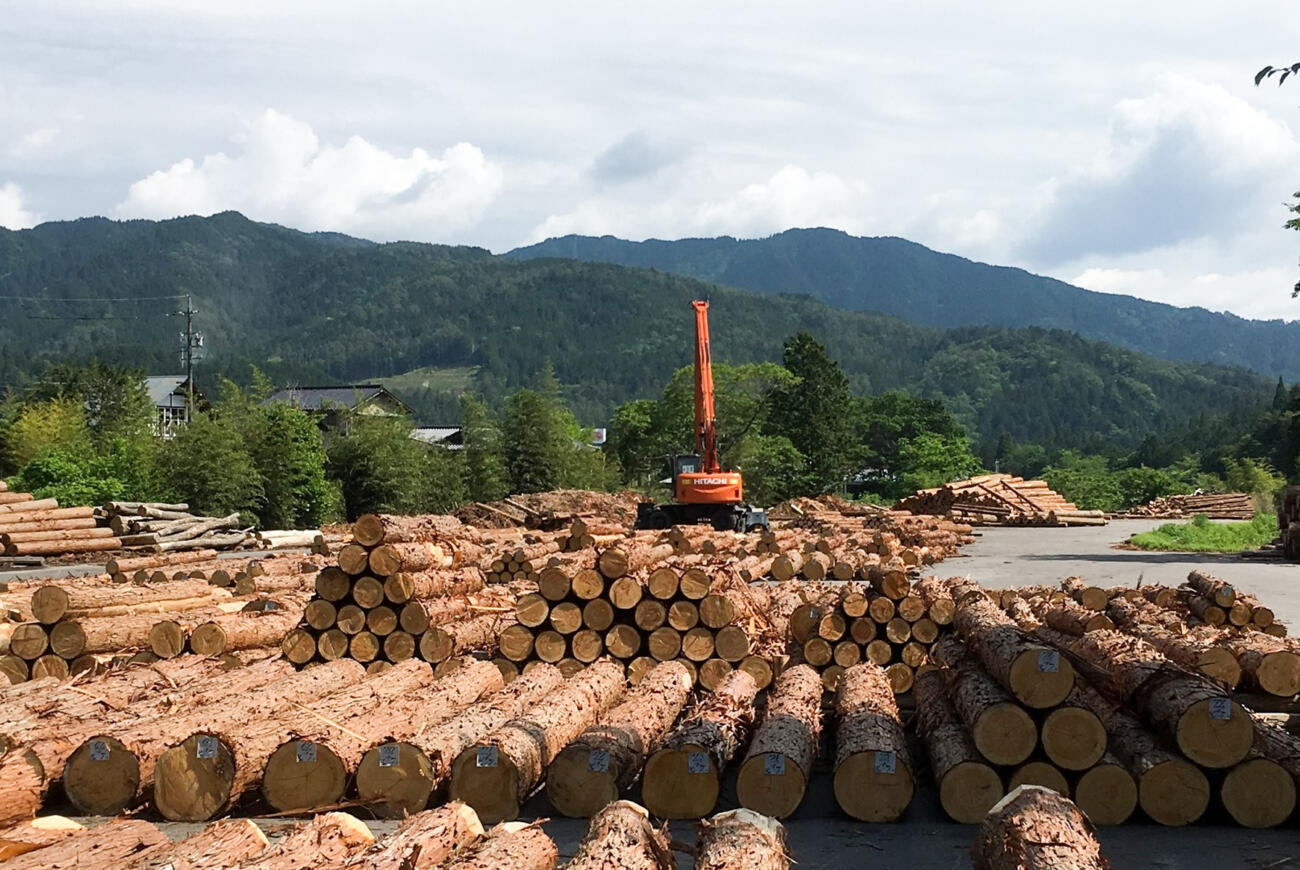 国産の木を使った家づくり