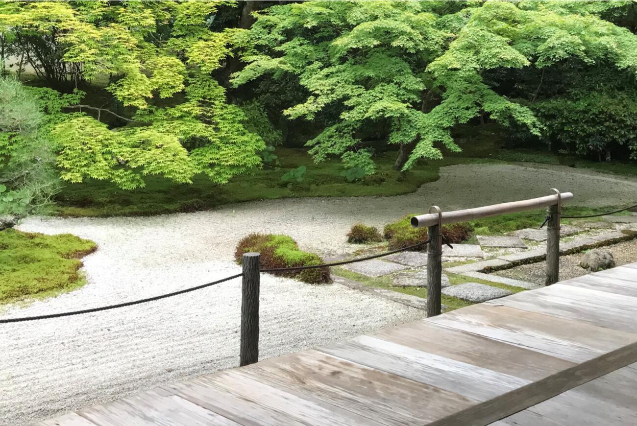 眺め