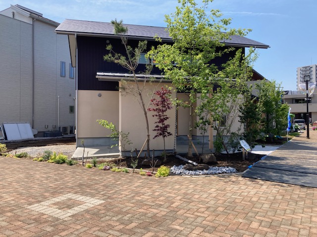 夏を涼しく